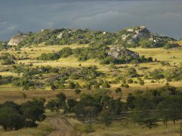 Seronera_and_Lobo2003-040